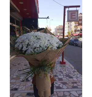 Big Boy İthal Beyaz Papatya Buketi